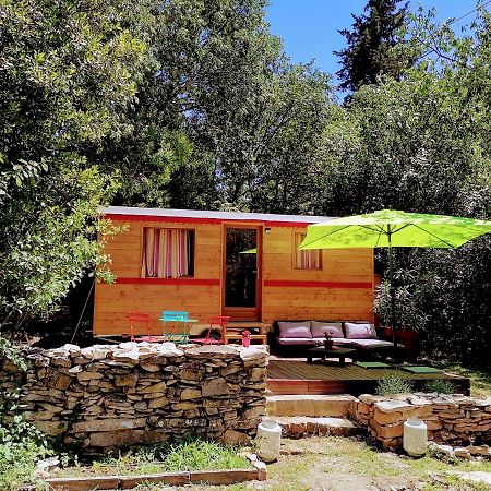Nimes En Garrigues Bed & Breakfast Luaran gambar